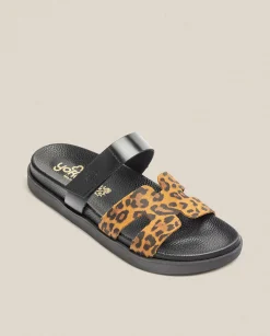 New Flat Sandal MORENA-125 Leopard Flat Sandals